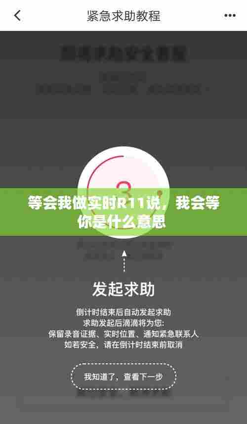 等会我做实时R11说，我会等你是什么意思 