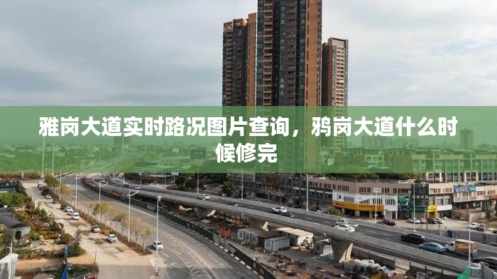 雅岗大道实时路况图片查询,鸦岗大道什么时候修完