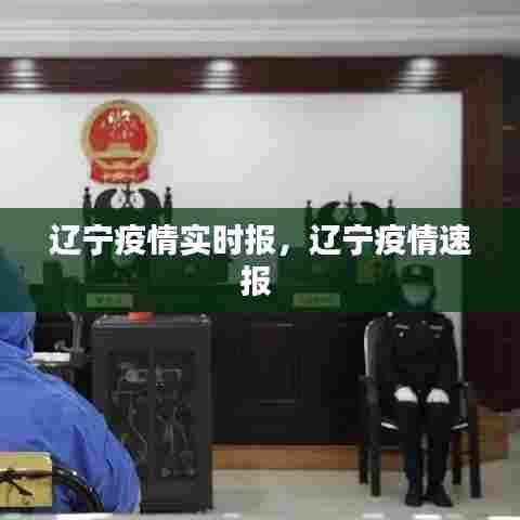 辽宁疫情实时报,辽宁疫情速报