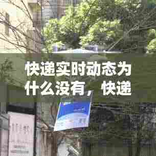 快递实时动态为什么没有，快递查不到动态 