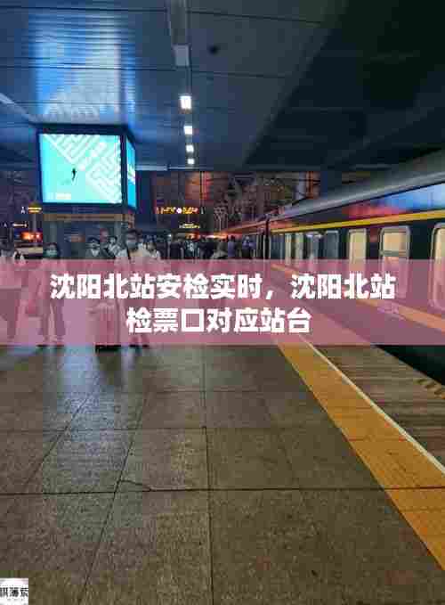 沈阳北站安检实时，沈阳北站检票口对应站台 