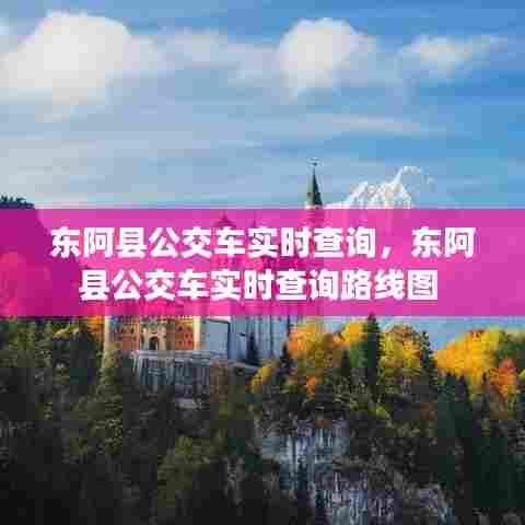 东阿县公交车实时查询,东阿县公交车实时查询路线图