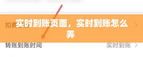 实时到账页面,实时到账怎么弄