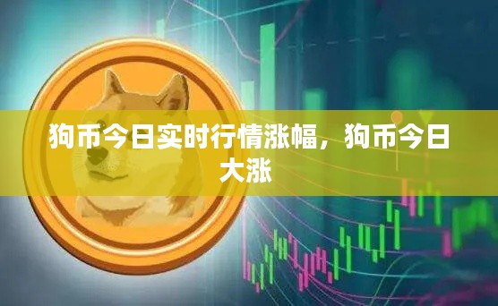狗币今日实时行情涨幅,狗币今日大涨