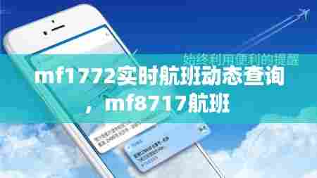 mf1772实时航班动态查询,mf8717航班