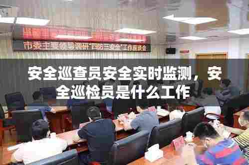 安全巡查员安全实时监测,安全巡检员是什么工作