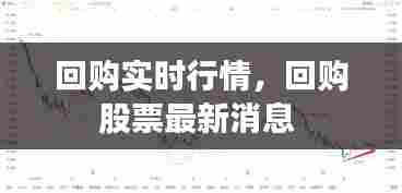 回购实时行情,回购股票最新消息