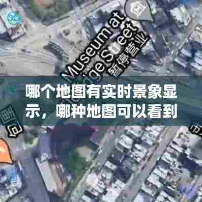 哪个地图有实时景象显示,哪种地图可以看到实景