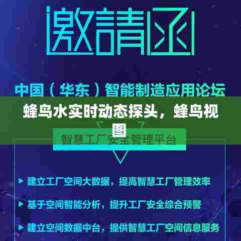 蜂鸟水实时动态探头,蜂鸟视图