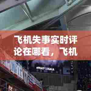 飞机失事实时评论在哪看,飞机失事情况