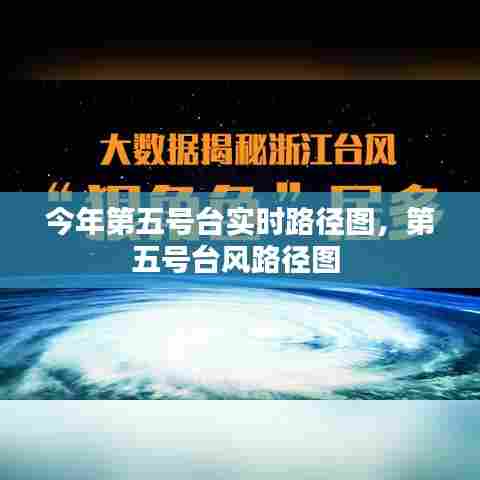 今年第五号台实时路径图，第五号台风路径图 