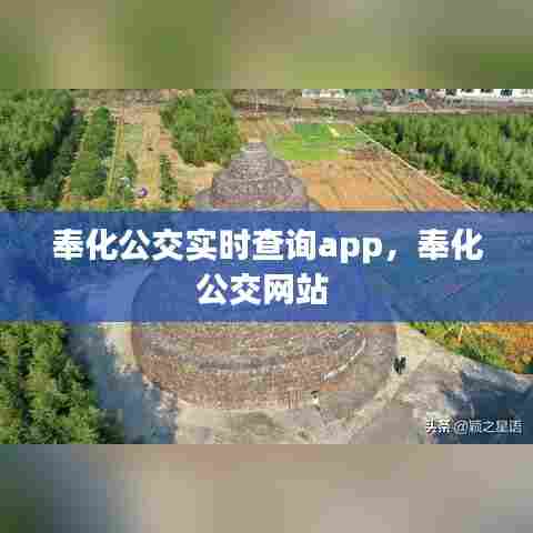 奉化公交实时查询app,奉化公交网站