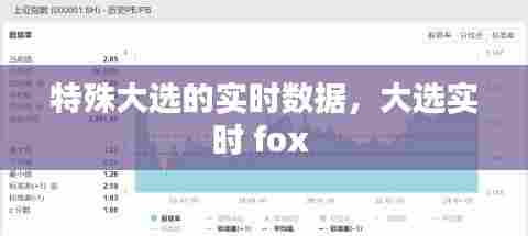 特殊大选的实时数据,大选实时 fox