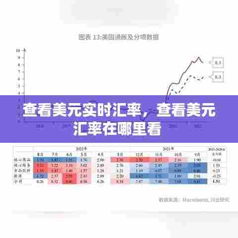 查看美元实时汇率,查看美元汇率在哪里看