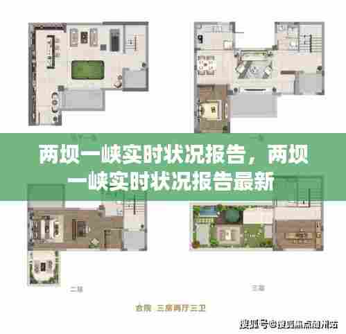 两坝一峡实时状况报告,两坝一峡实时状况报告最新