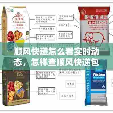 顺风快递怎么看实时动态,怎样查顺风快递包裹到达哪儿了