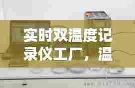实时双温度记录仪工厂,温度记录仪器价格