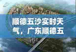 顺德五沙实时天气,广东顺德五沙