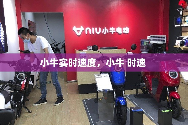 小牛实时速度,小牛 时速