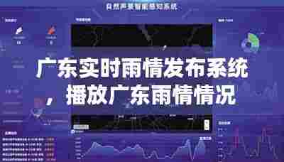 广东实时雨情发布系统,播放广东雨情情况