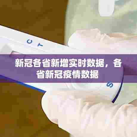 箪瓢陋巷 第7页