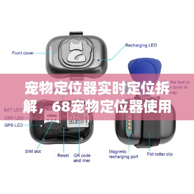 宠物定位器实时定位拆解,68宠物定位器使用方法
