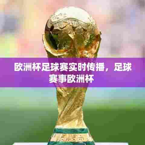 欧洲杯足球赛实时传播,足球赛事欧洲杯