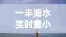 一半海水实时莫小棋多大,莫小棋一半海水图片