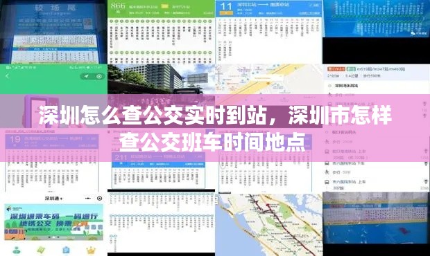 深圳怎么查公交实时到站,深圳市怎样查公交班车时间地点