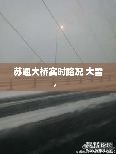 苏通大桥实时路况 大雪,