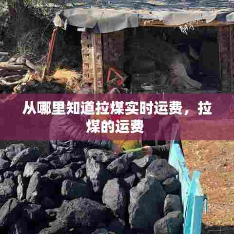 从哪里知道拉煤实时运费,拉煤的运费