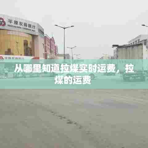 从哪里知道拉煤实时运费,拉煤的运费