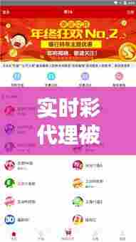 实时彩代理被抓怎么判,网彩代理