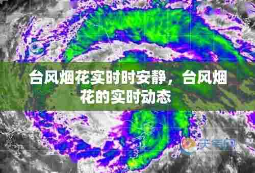 台风烟花实时时安静,台风烟花的实时动态