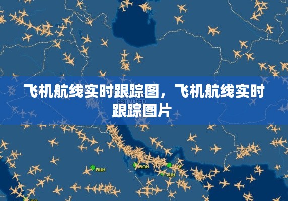 飞机航线实时跟踪图,飞机航线实时跟踪图片