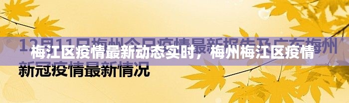梅江区疫情最新动态实时,梅州梅江区疫情