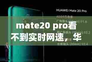mate20 pro看不到实时网速，华为mate20pro测网速 