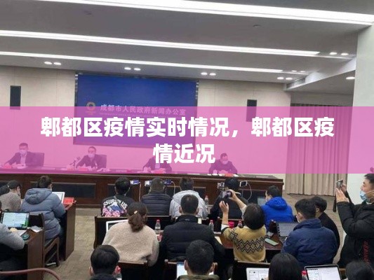 郫都区疫情实时情况,郫都区疫情近况