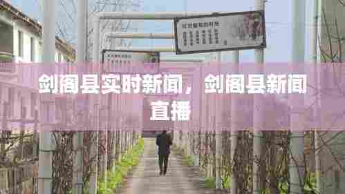 剑阁县实时新闻，剑阁县新闻直播 