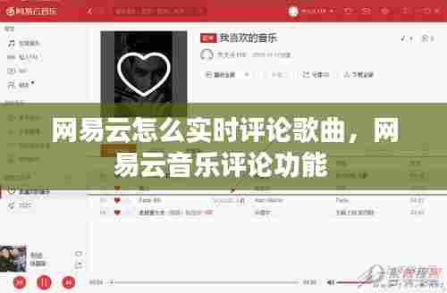 网易云怎么实时评论歌曲,网易云音乐评论功能