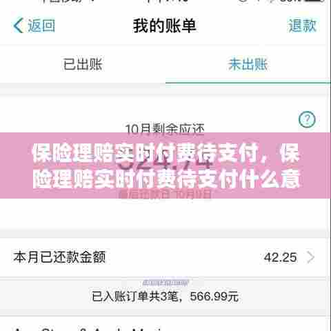 保险理赔实时付费待支付，保险理赔实时付费待支付什么意思 