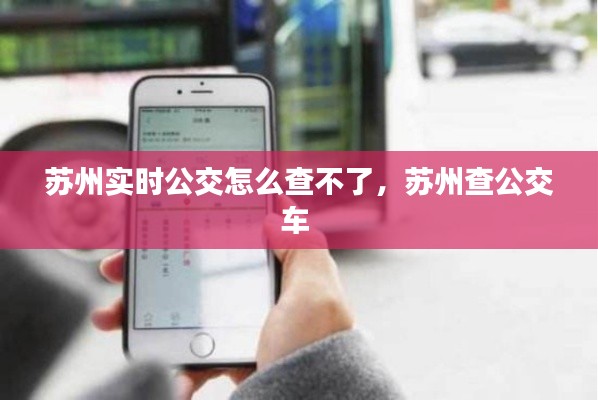 苏州实时公交怎么查不了,苏州查公交车