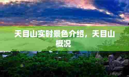 天目山实时景色介绍,天目山概况