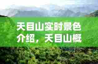 天目山实时景色介绍,天目山概况