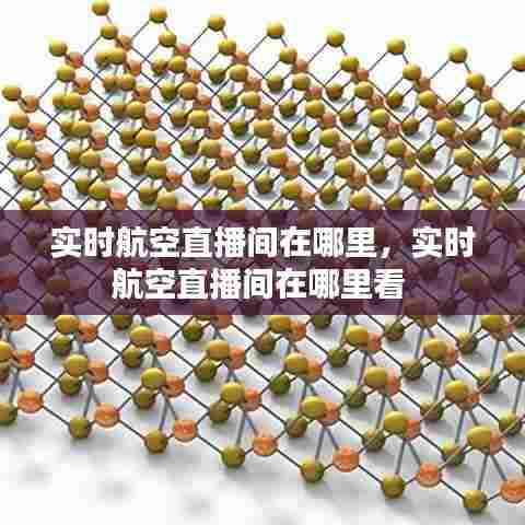 实时航空直播间在哪里,实时航空直播间在哪里看