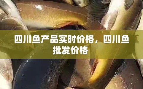 四川鱼产品实时价格,四川鱼批发价格