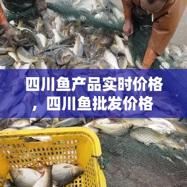 四川鱼产品实时价格,四川鱼批发价格