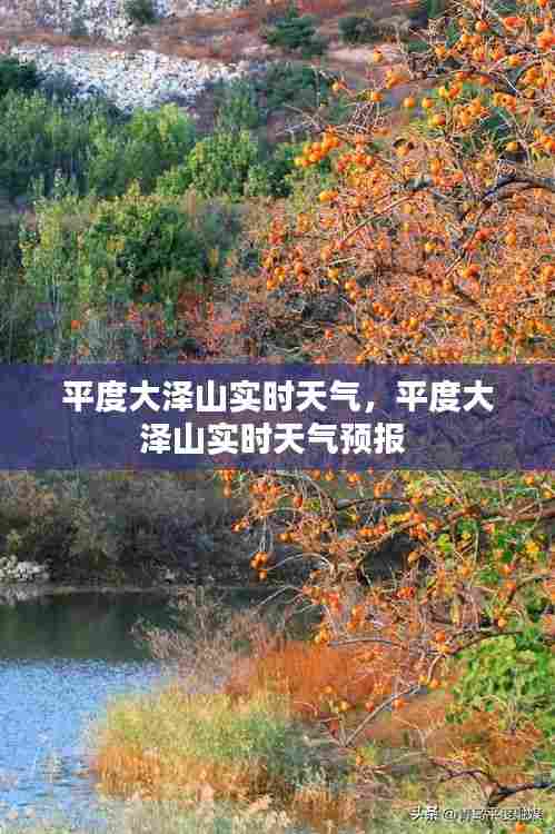 平度大泽山实时天气,平度大泽山实时天气预报