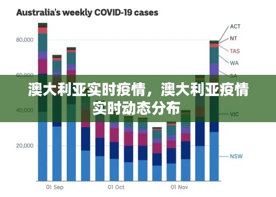澳大利亚实时疫情,澳大利亚疫情实时动态分布