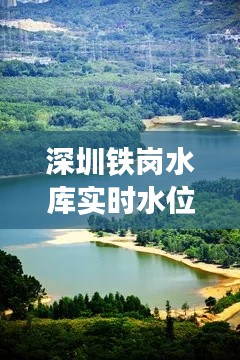 深圳铁岗水库实时水位图,深圳铁岗水库 游玩攻略